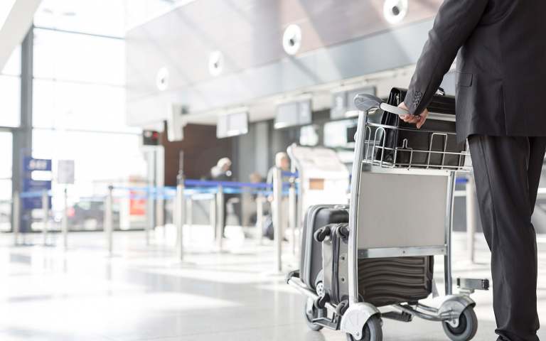 sas ski baggage
