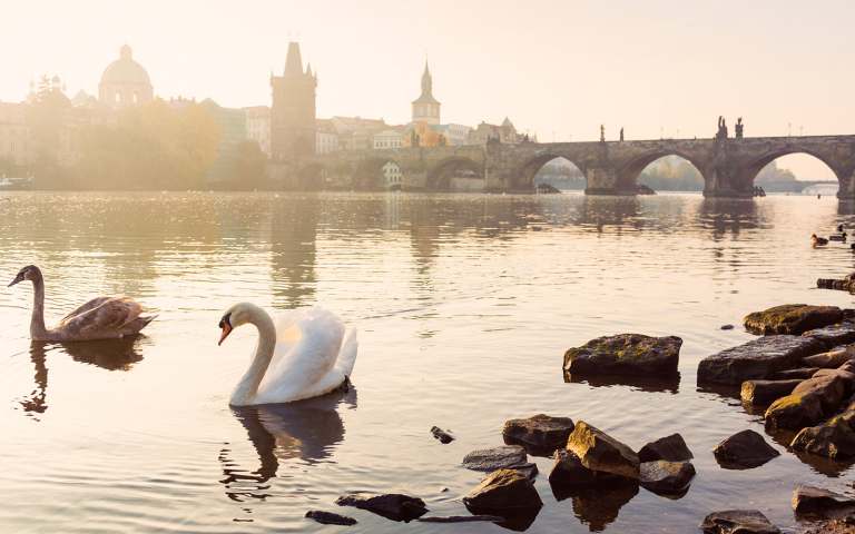 Fly to Spain with SAS Fly to Czech Republic with SAS