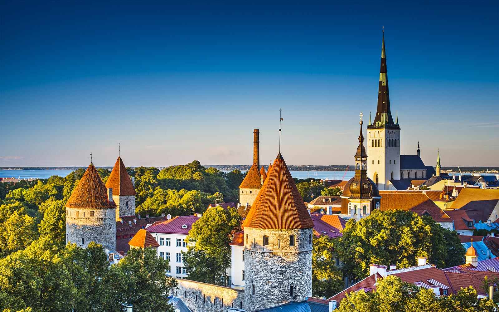 Rencontres Tallinn Estonie