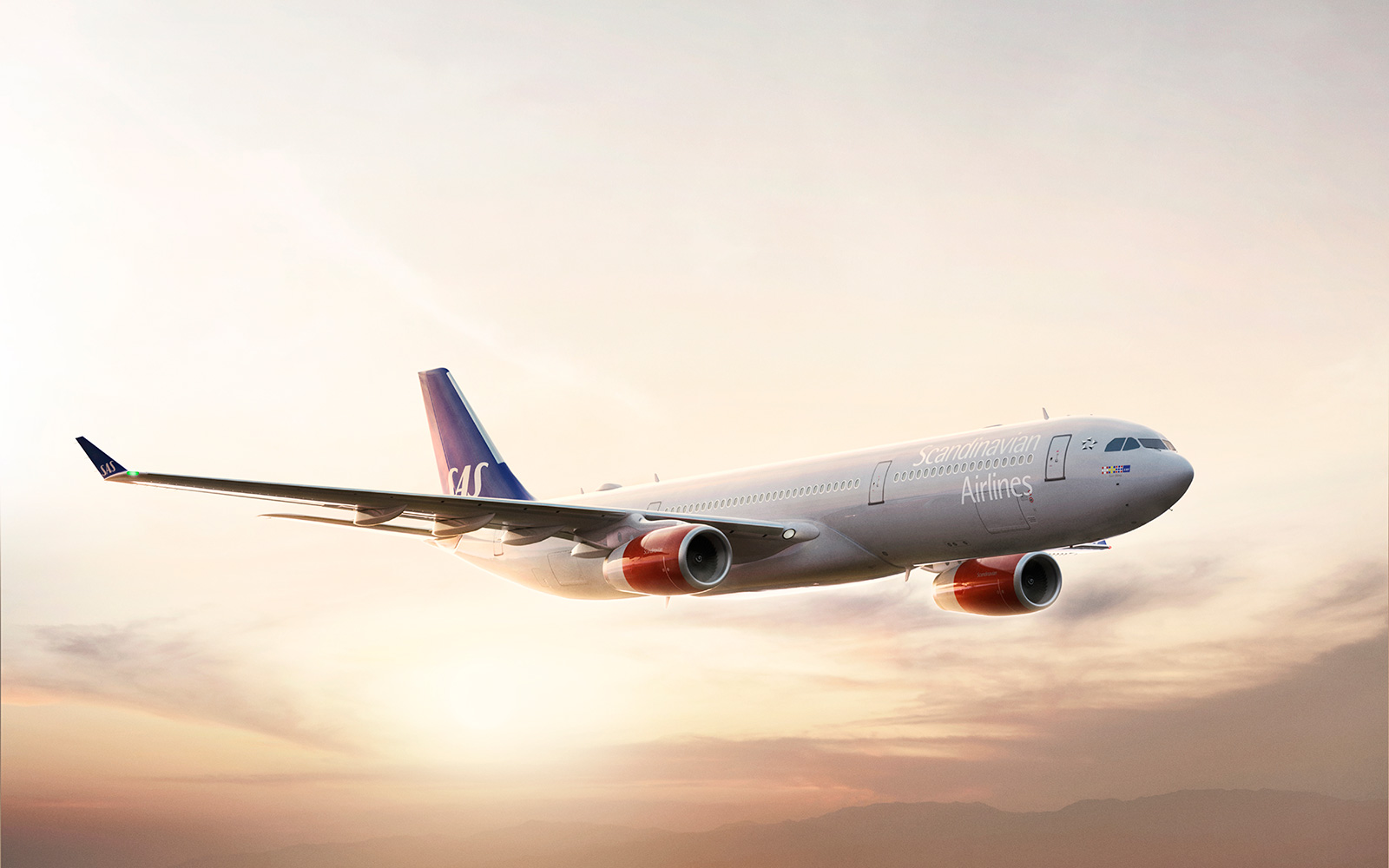 fly sas baggage allowance