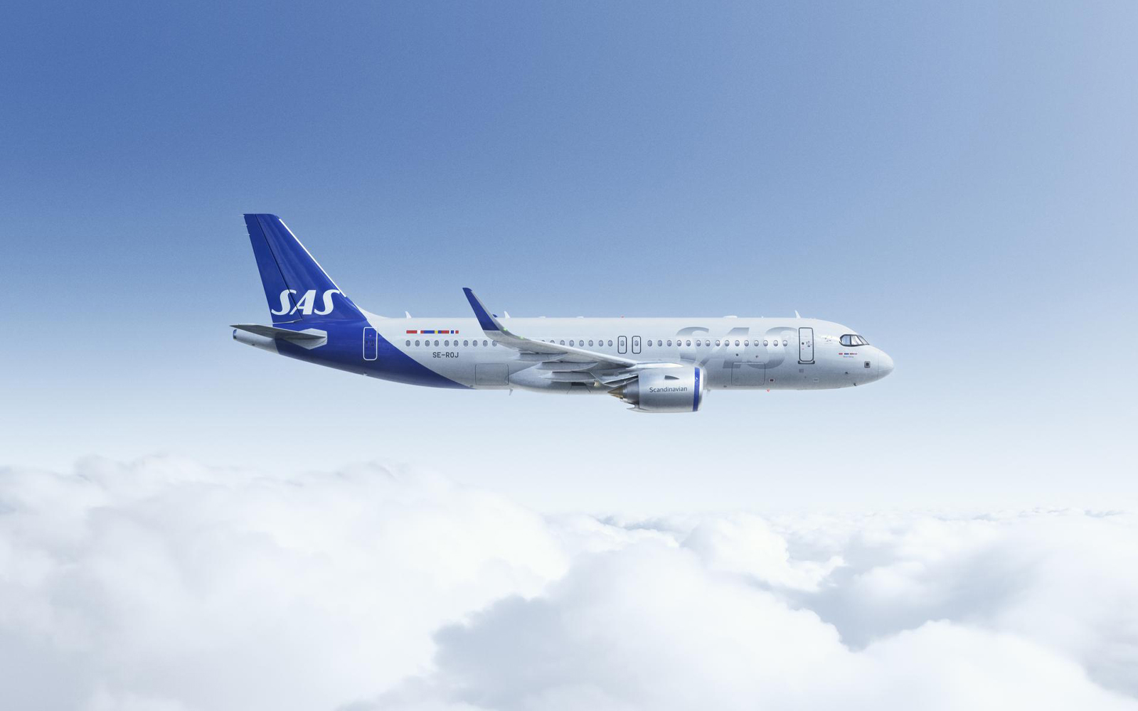 scandinavian airlines baggage policy international